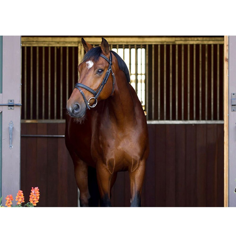 ShowSheen Original Hair Polish & Detangler