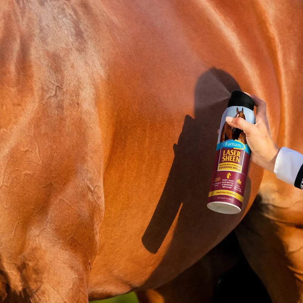 Laser Sheen® Finishing Spray