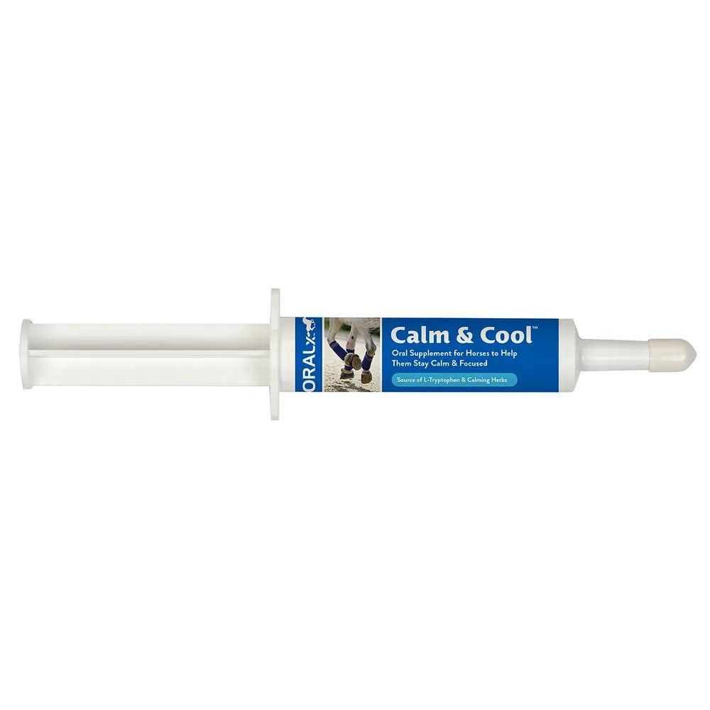 Calm & Cool Horse Supplement Paste