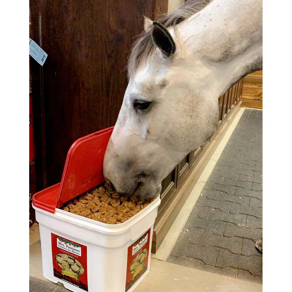 Mrs. Pastures Natural Horse Treat Cookies