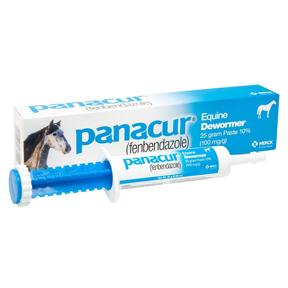 Panacur Horse Dewormer Paste