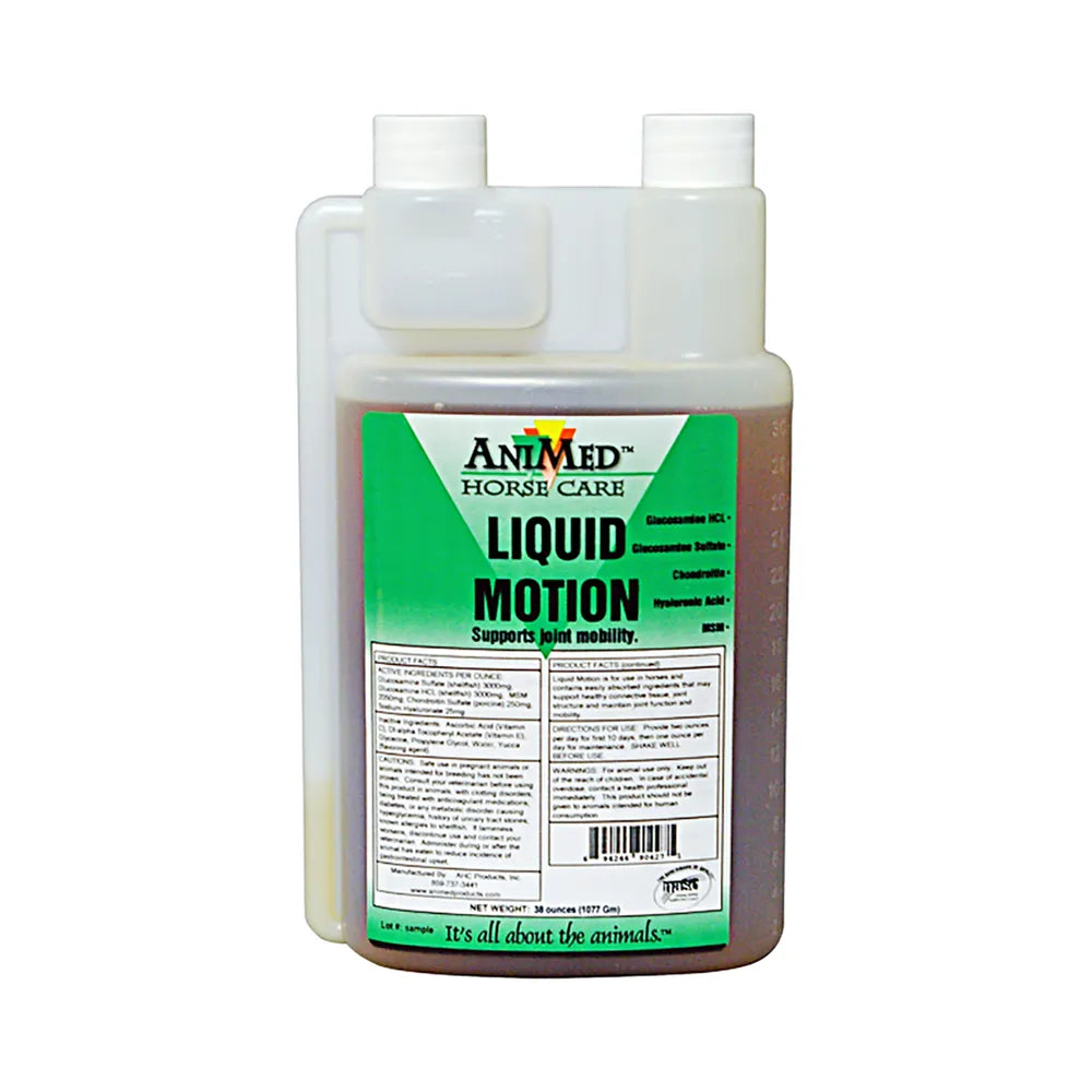 Liquid Motion for Horses