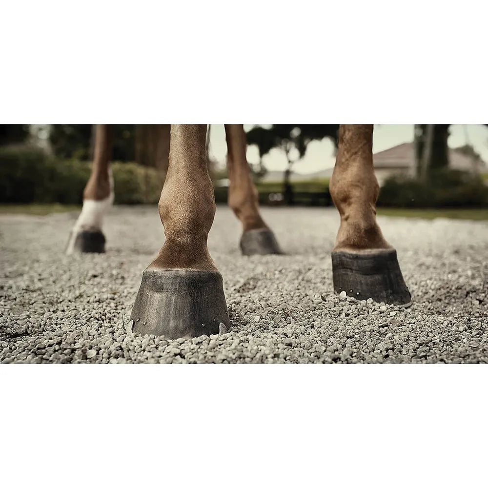 Hooflex Natural Hoof Dressing + Conditioner