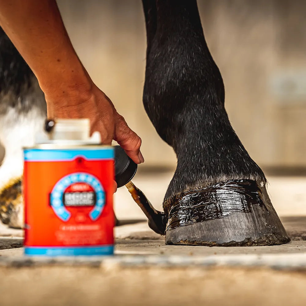 Cornucrescine Daily Hoof Dressing for Horses
