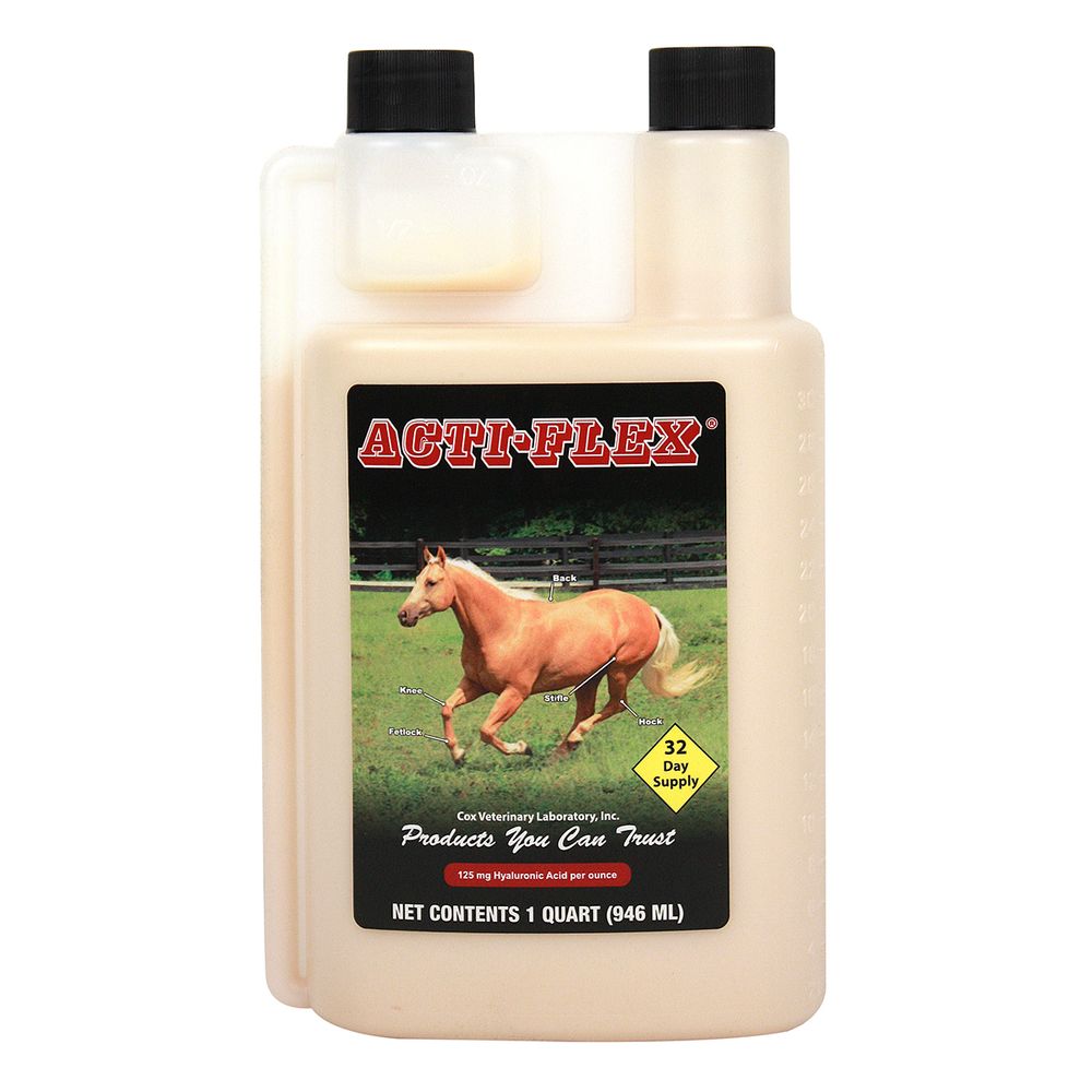 Acti-Flex Joint Supplement for Horses