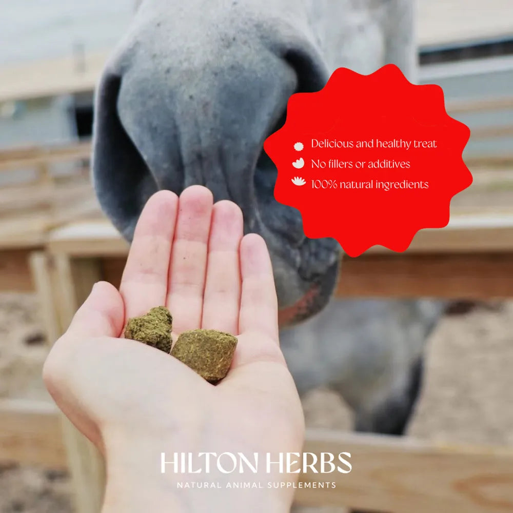 Hilton Herbs Herballs Horse Treats