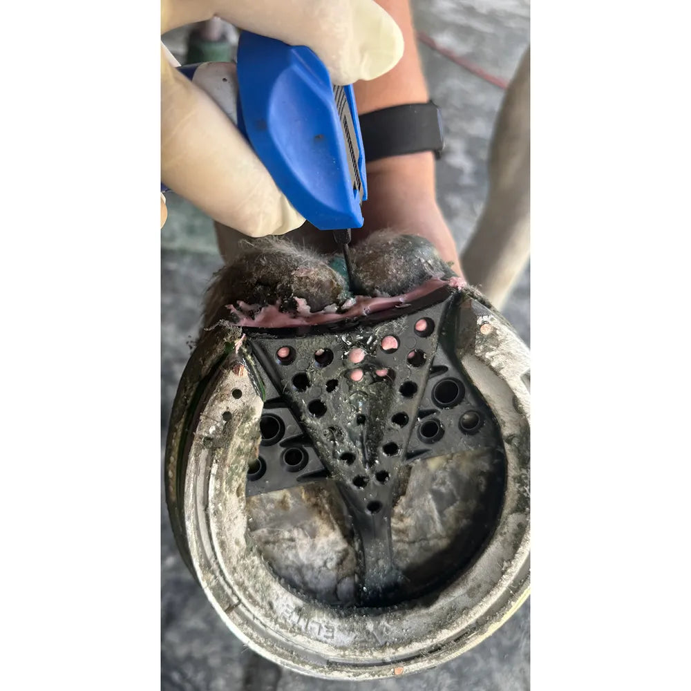 Groom's Hand Deep Thrush Gel