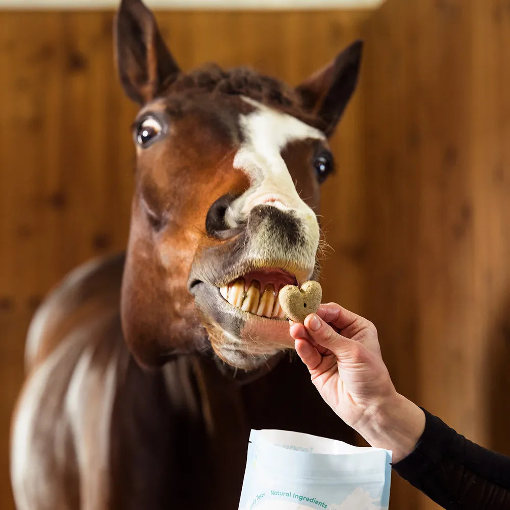 Honest to Goodness Upcycled Horse Treats
