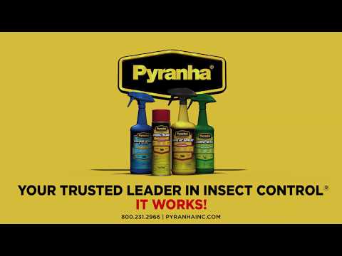 Pyranha Insecticide Aerosol Premise and Horse Spray