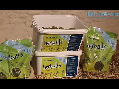 Hilton Herbs Herballs Horse Treats