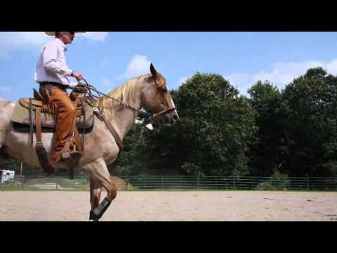 Hooflex Magic Cushion Hoof Packing