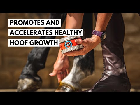 The Original Cornucrescine Hoof Ointment