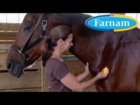 Equi-Spot Spot-On Protection