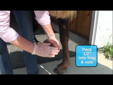 Hooflex Magic Cushion Hoof Packing