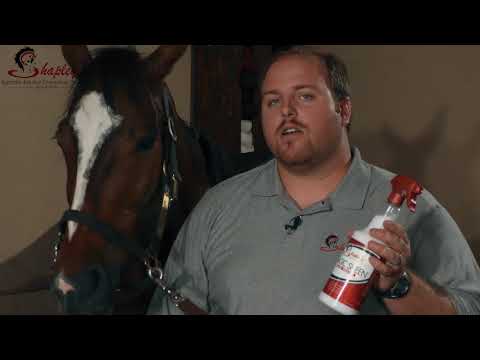 Magic Sheen Hair Polish for Horses