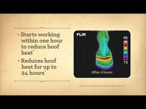 Hooflex Magic Cushion Hoof Packing