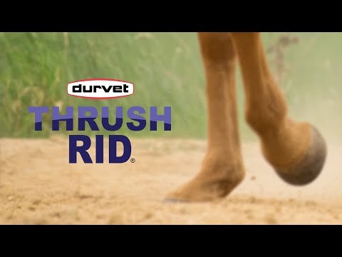 Thrush Rid for Horses