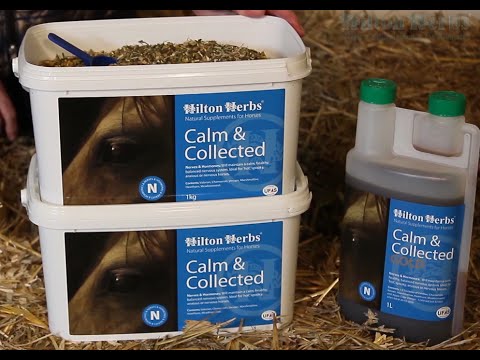 Calm & Collected Horse Supplement
