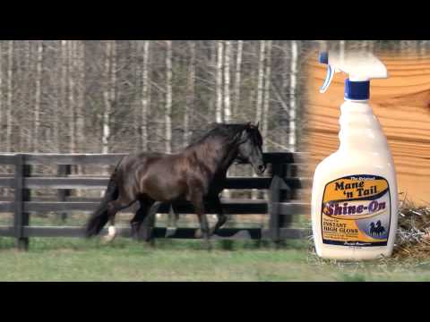 Mane 'n Tail Shine-On Spray