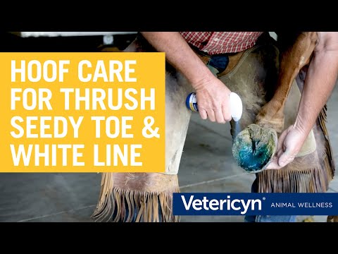 Vetericyn Mobility Equine Hoof Care