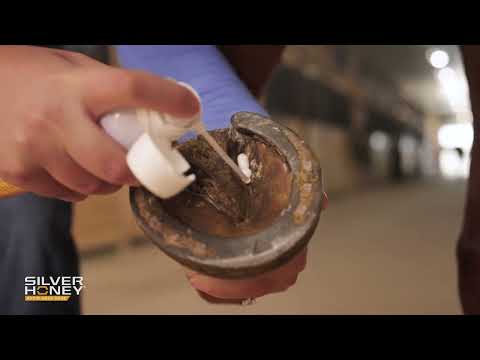 Silver Honey Rapid Hoof Care Thrush Foam