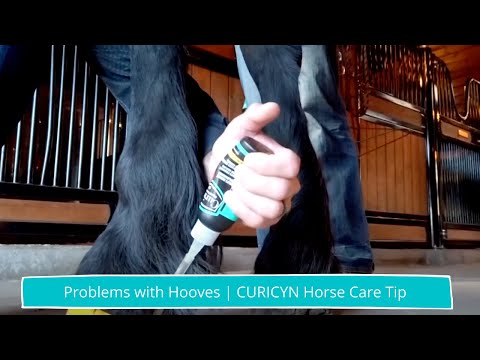 Curicyn Hoof Care Kit