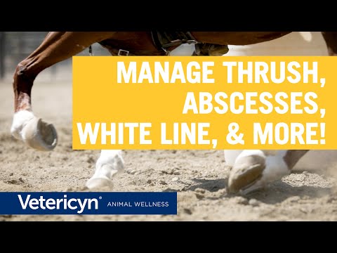 Vetericyn Mobility Equine Hoof Care